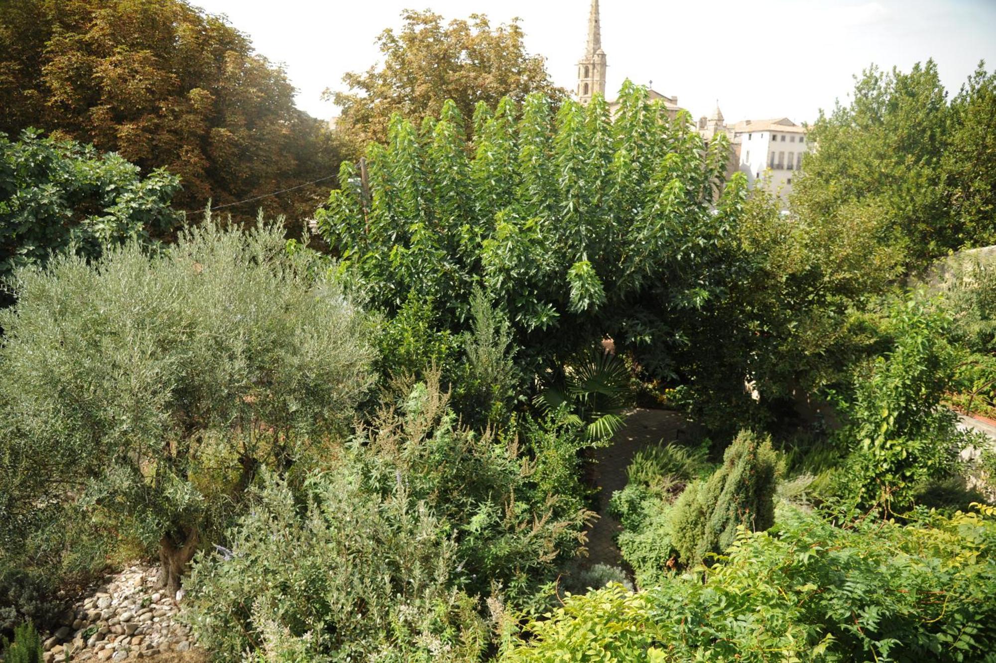 Limoux Riverside Gardens Βίλα Εξωτερικό φωτογραφία